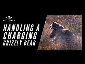Handling a Charging Grizzly Bear