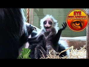 Have kids, they said It’ll be fun, they said