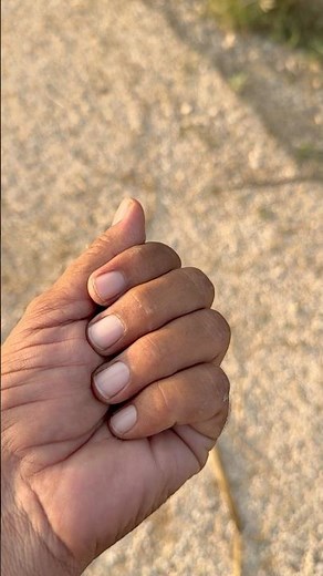 The plant shown in the video is a type of grass, most (jungle rice) or Echinochloa (barnyard grass)