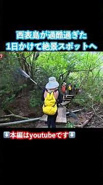 【西表島観光】過酷すぎる！世界遺産の島「西表島」の秘境ツアーに参加しました #旅行vlog #西表島 #沖縄旅行 #沖縄観光 #離島