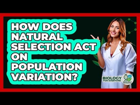 How Does Natural Selection Act On Population Variation?