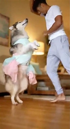 When Your Dog Becomes Your Dance Partner!