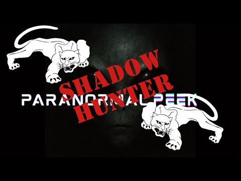 The Shadow Hunter: Police Search for the Phantom Big Cat Caught on Video