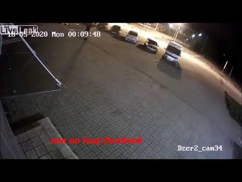 Attaque d'ours sur un homme