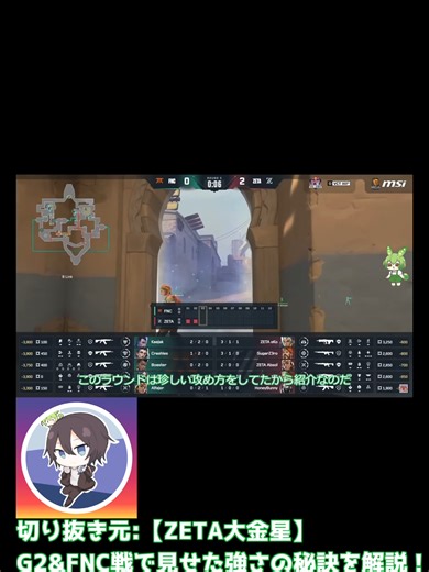 ZETAの完璧なセットアップ解説