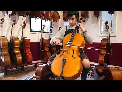 Cellos for the aspiring and intermediate player