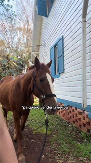 #paratiiiiiiiiiiiiiiiiiiiiiiiiiiiiiii #videoviral #campo