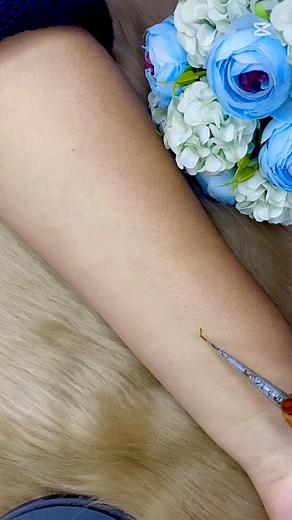 40K views · 228 reactions | semi bridal Mehedi design tutorial.... #reelsviralシ #reelsfypシ #reelschallenge #organicmehendi #viralvideochallenge | Sima's Creation | Facebook