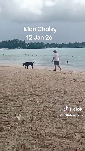 À Mon Choisy MO tifi ek ene lot zenfant p nager plis ti Ena bku personne p nager to bizin srtir Dan delo vite vite akoz sa Mone sone la police zot dir zot pou vine getter zamais zotti vini Crotte dechien p dissolve Dan sa delo latou sa dimune la fine bien choker Ene moricien dir moi li pa's fasil sa none ggn degout ici zot in srti zot in aller MO tifi inchoker li pa's kner Kuma li pou srtir blocker r Tata et sa p frot r toudimune Toutou la p rest Tata mem