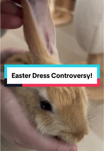 Easter Dress Controversy: Too Dramatic for Easter?