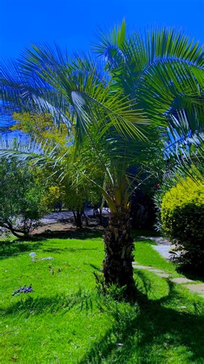 2.1K views · 62 reactions | Welcome to GRVL — where comfort, care, and calm blend seamlessly to create a true home-away-from-home experience. Every stay is crafted to make you feel at ease, from the first warm welcome to your last goodnight. ️ #GRVL #ComfortRedefined | Great Rift Valley Lodge and Golf Resort | Facebook