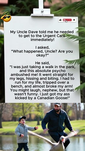 Never mess with a Canadian Goose! 🦆💀 #comedy #humor #memes
