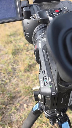 1.2K views · 39 reactions | The first wildlife shots I took after purchasing a camera were of Rocky Mountain Bighorn Sheep. . #Montana #enjoy #fyp #outdoors #bigskycountry #bighornsheep #camera #videos | Michael McKinney | Facebook