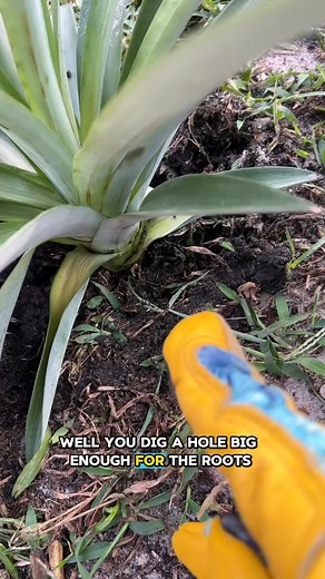 Garden Break on Reels