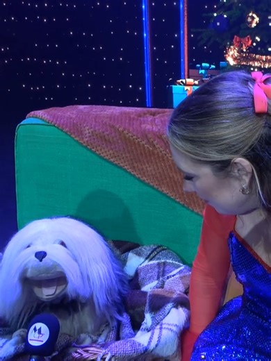 Reportage Première Samson & Marie Kerstshow - Het Feest #samsonenmarie #samson #samsonenmariekerstshow #studio100 #musicalvibes