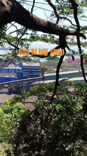 Vasco da Gama entry point 👉🏻👈🏻 #freefire #viralvideo #vascodagama #goa #games #reelsindia #reels