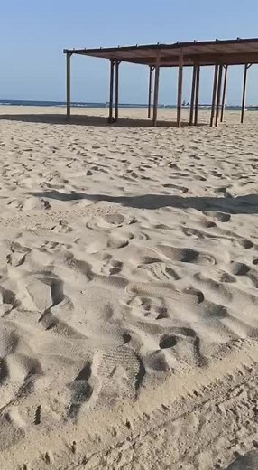 Videos de Mari (@maariiii_23) con “Roadrunner Meep Meep - Cartoon Sound Effect - Power Sound Effects”