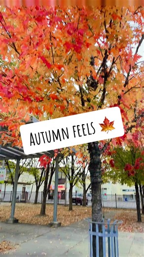 Sweater weather and falling leaves — my favourite season 🍂🧣#mylivemystory #livefest2025 #fallingleaves #thamscheeks #campaignlife