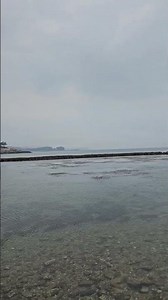 #태안#천리포해수욕장#바다#SouthKorea#summer