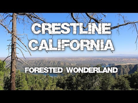 Forested Wonderland (Crestline, California)
