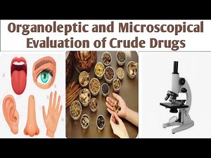 Organoleptic and Microscopical evaluation of crude drugs|Unit 1| 4sem #organoleptic #microscopical