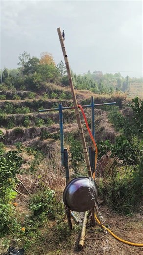 The bird repelling device made by farmers using bamboo