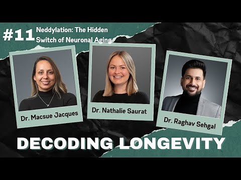 Neddylation: The Hidden Switch of Neuronal Aging with Dr. Nathalie Saurat
