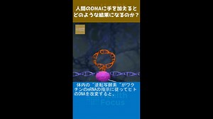 人間のDNAに手を加えると、どのような結果になるのか？