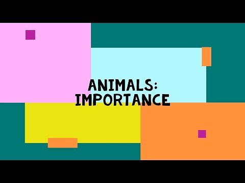 Animals: Importance of Animals