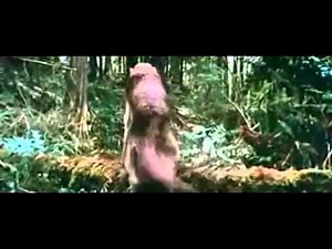 Twilight : Breaking Dawn Official Trailer!