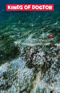 KINDS OF DOCTORS | Checklist Studio