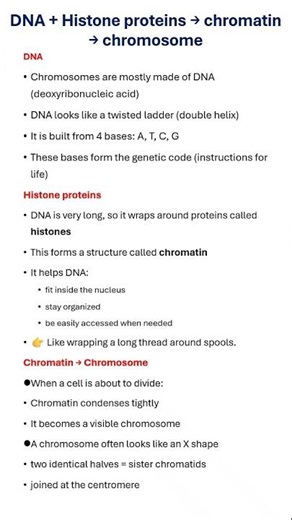 What Is Inside a Chromosome? 🧬 DNA + Histones Explained in Seconds