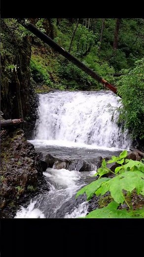 Dutchman Falls | 4K Nature Ambience | Columbia River Gorge | PNW Relaxation Nature Sounds