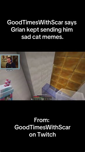 GoodTimesWithScar Receives Sad Cat Memes from Grian | Twitch Highlights