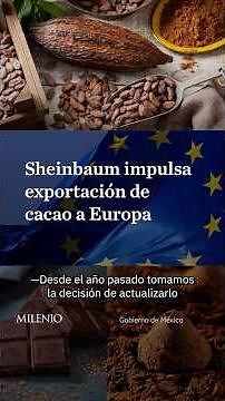 Sheinbaum highlights new opportunities to export Mexican cacao to Europe
