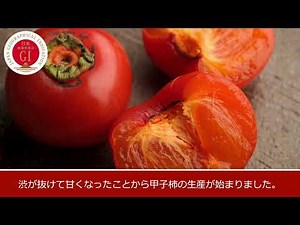 106 甲子柿