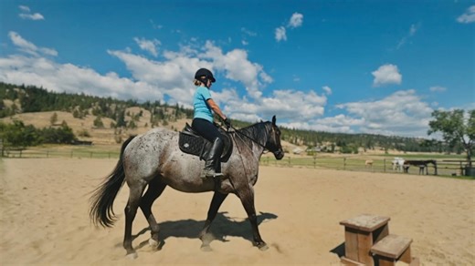 Mic’d up horse training session goes hilariously wrong