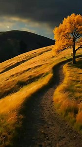 15K views · 397 reactions | #motivation #meditation #conseils | Yann le Pellerin | Facebook