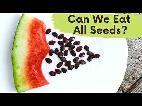 Seeds name | Types of seeds for kindergarten | Science seeds for kids 2023 | kids education| Zak