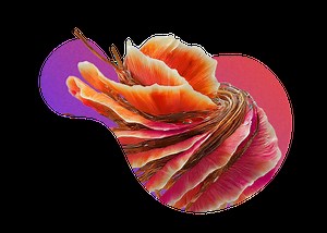 Introduction to Gemini 2.5 Pro