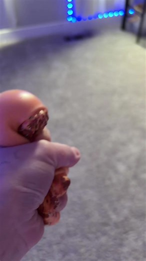 Sorting my fidgets! #fidget #fidgetlover