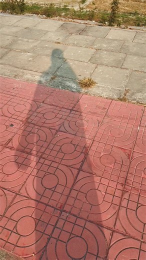 .neha029 (@.neha029)’s videos with original sound - 💗Oishi💗