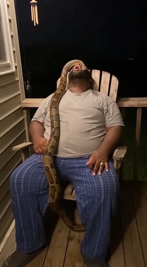 38K views · 69 reactions | “Nature’s Alarm Clock”: Man Wakes Up to...