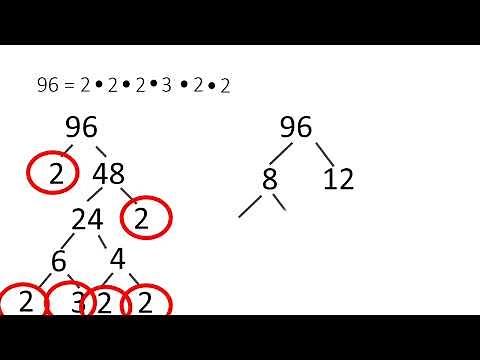 Grade 6: Using Factor Trees To Find Prime Numbers