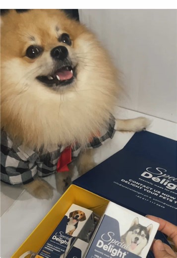 Grateful hearts and healthier paws 🐾💛 Thank you, @Special Delight PH for the vitamins that help keep our fur babies strong and healthy 🐶💊 #Dogsupplements #SpecialDelight #Healthydogs #DogVitamins