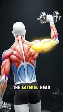 The Ultimate Triceps Blueprint 💪 | Build Bigger Arms FAST (Science-Based)