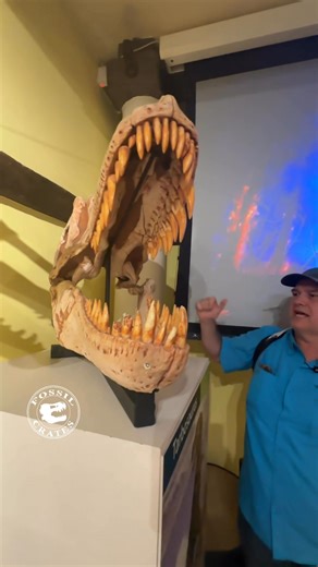 17K views · 812 reactions | Tarbosaurus - which skulls? As fate...