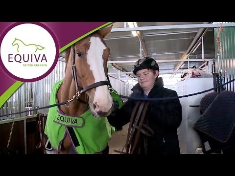 Springreiten - das ist Tim Birckenstaedt