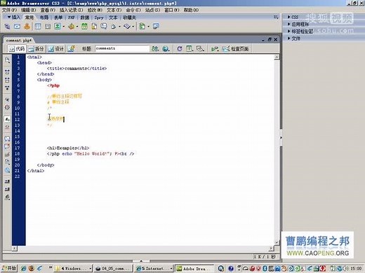 1.8 PHP注释符号与格式 - 曹鹏PHP