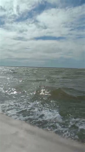 laut riau bagan siapi api